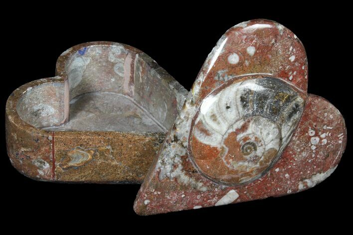 Fossil Goniatite Box (Heart) - Stoneware #123540